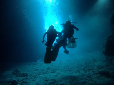 武藤潜水に投稿された画像（2021/2/6）