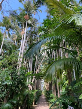 美らヤシパークオキナワ・東南植物楽園に投稿された画像（2021/2/6）
