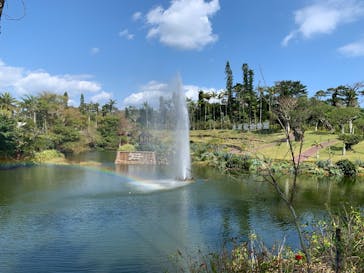 美らヤシパークオキナワ・東南植物楽園に投稿された画像（2021/2/6）