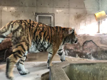天王寺動物園に投稿された画像（2021/2/6）