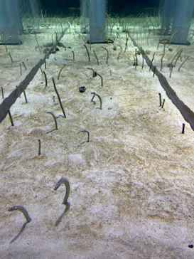 すみだ水族館に投稿された画像（2021/2/6）