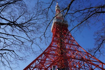 東京タワーに投稿された画像（2021/2/6）