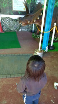 千葉こどもの国 キッズダムに投稿された画像（2021/2/6）