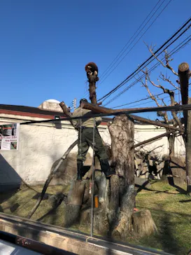 天王寺動物園に投稿された画像（2021/2/6）