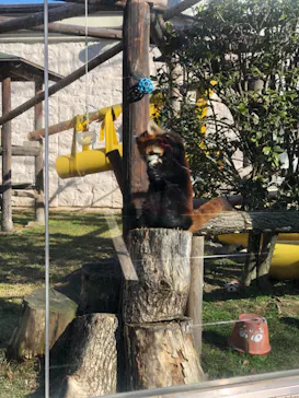 天王寺動物園に投稿された画像（2021/2/6）