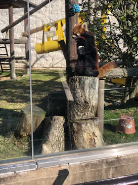 天王寺動物園に投稿された画像（2021/2/6）