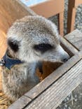 しろとり動物園に投稿された画像（2021/2/6）