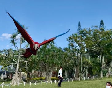 美らヤシパークオキナワ・東南植物楽園に投稿された画像（2021/2/6）