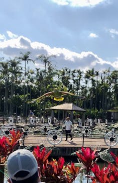 美らヤシパークオキナワ・東南植物楽園に投稿された画像（2021/2/6）