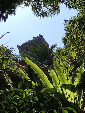 アスムイハイクスに投稿された画像（2021/2/6）