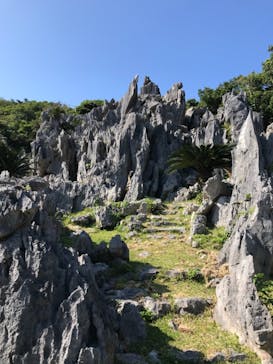 アスムイハイクスに投稿された画像（2021/2/6）