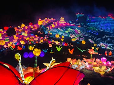 伊豆ぐらんぱる公園に投稿された画像（2021/2/6）