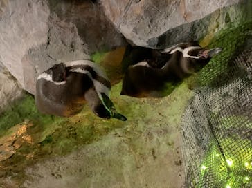 東武動物公園に投稿された画像（2021/2/6）