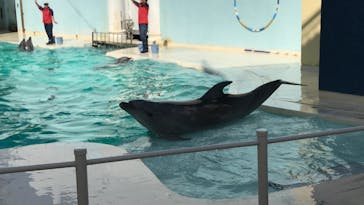 株式会社Gに投稿された画像（2021/2/6）