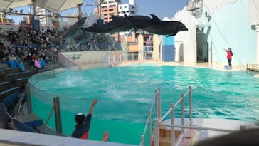 株式会社Gに投稿された画像（2021/2/6）