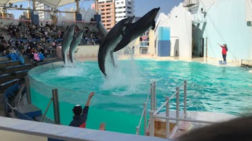 株式会社Gに投稿された画像（2021/2/6）