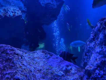 すみだ水族館に投稿された画像（2021/2/6）