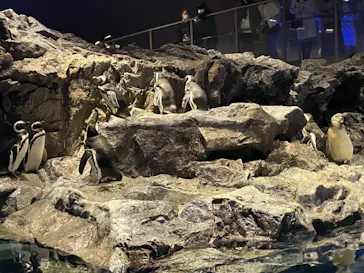 すみだ水族館に投稿された画像（2021/2/6）