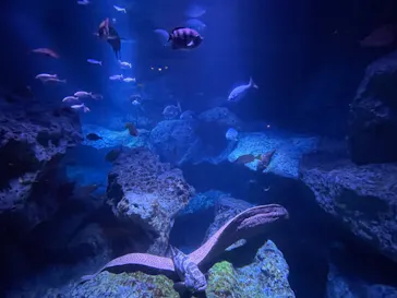 すみだ水族館に投稿された画像（2021/2/6）