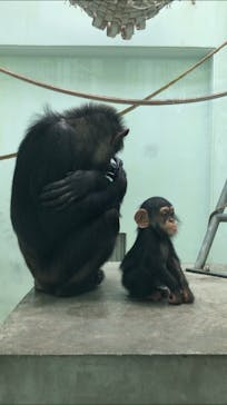 沖縄こどもの国に投稿された画像（2021/2/7）