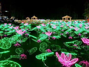 美らヤシパークオキナワ・東南植物楽園に投稿された画像（2021/2/7）