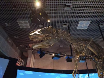 国立科学博物館に投稿された画像（2021/2/7）