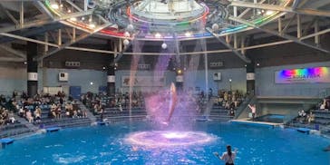 マクセル アクアパーク品川に投稿された画像（2021/2/7）