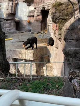 天王寺動物園に投稿された画像（2021/2/7）