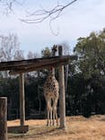 天王寺動物園に投稿された画像（2021/2/7）