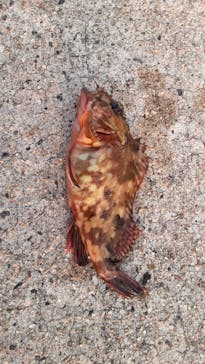 南知多ビーチランド＆南知多おもちゃ王国に投稿された画像（2021/2/7）