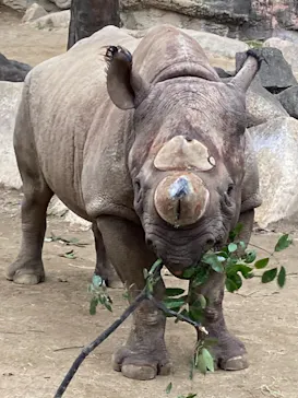 天王寺動物園に投稿された画像（2021/2/7）