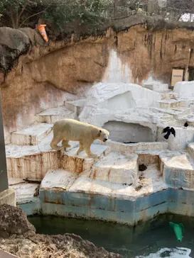 天王寺動物園に投稿された画像（2021/2/7）