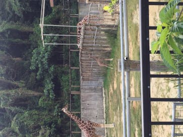 沖縄こどもの国に投稿された画像（2021/2/7）