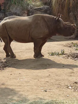 天王寺動物園に投稿された画像（2021/2/7）
