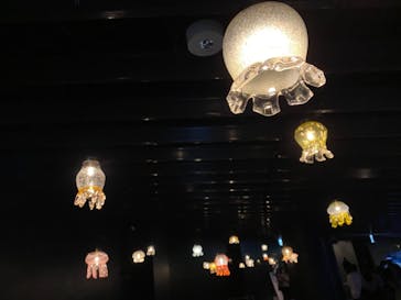 京都水族館に投稿された画像（2021/2/7）