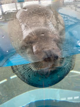 京都水族館に投稿された画像（2021/2/7）