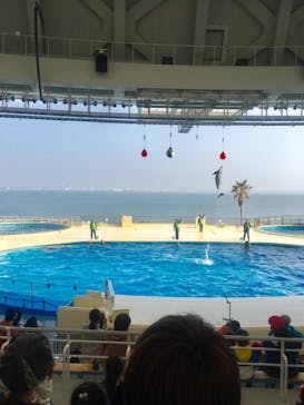 マリンワールド海の中道に投稿された画像（2021/2/7）
