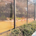 天王寺動物園に投稿された画像（2021/2/7）