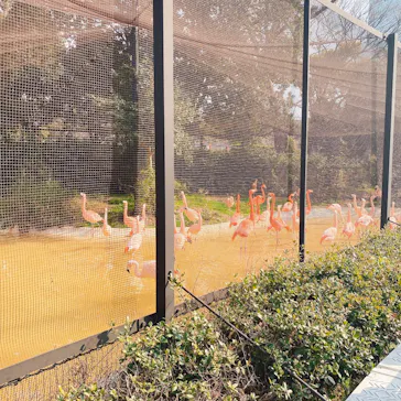 天王寺動物園に投稿された画像（2021/2/7）