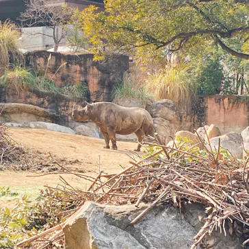 天王寺動物園に投稿された画像（2021/2/7）
