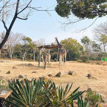 天王寺動物園に投稿された画像（2021/2/7）