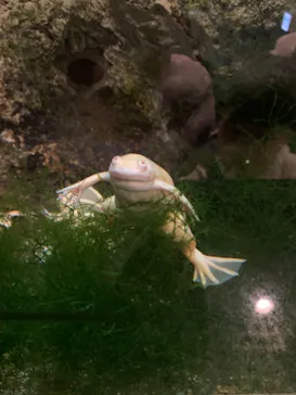 天王寺動物園に投稿された画像（2021/2/7）