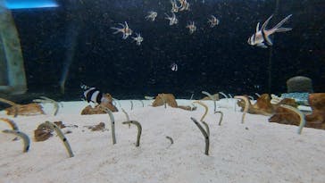 株式会社Gに投稿された画像（2021/2/7）