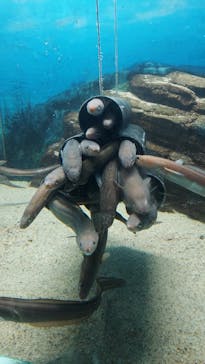 株式会社Gに投稿された画像（2021/2/7）