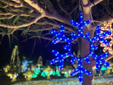 美らヤシパークオキナワ・東南植物楽園に投稿された画像（2021/2/7）