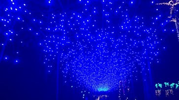 美らヤシパークオキナワ・東南植物楽園に投稿された画像（2021/2/7）