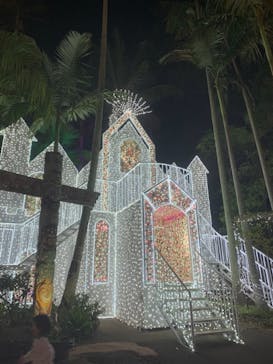 美らヤシパークオキナワ・東南植物楽園に投稿された画像（2021/2/7）