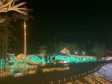 美らヤシパークオキナワ・東南植物楽園に投稿された画像（2021/2/7）