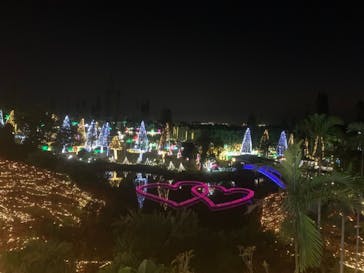 美らヤシパークオキナワ・東南植物楽園に投稿された画像（2021/2/7）