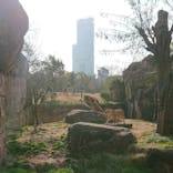 天王寺動物園に投稿された画像（2021/2/7）